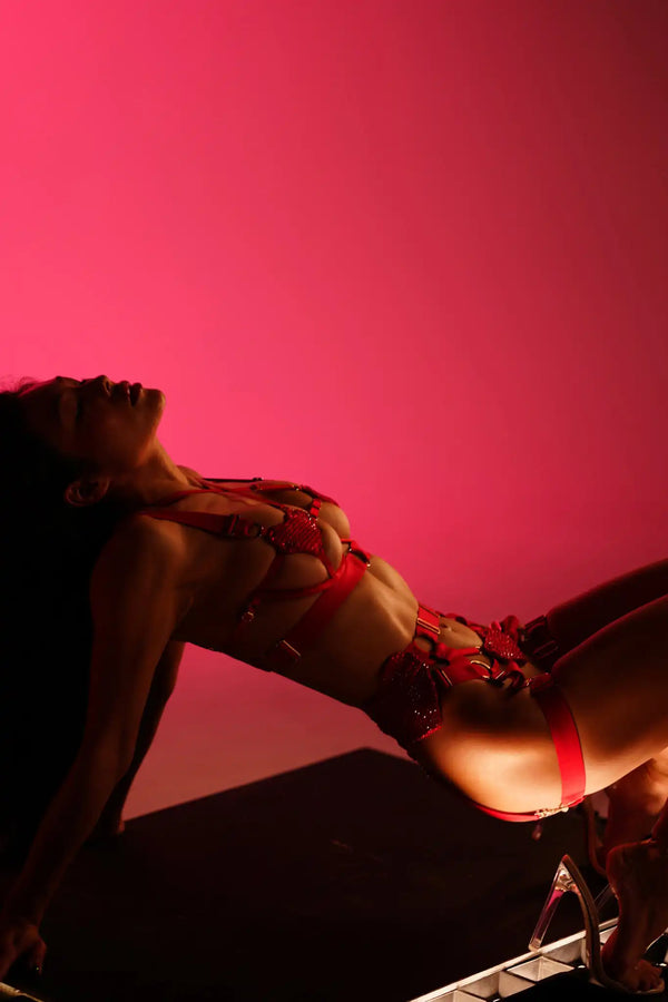 Scarlet Vice |Bondage Lingerie Set | Luke Parry Collective