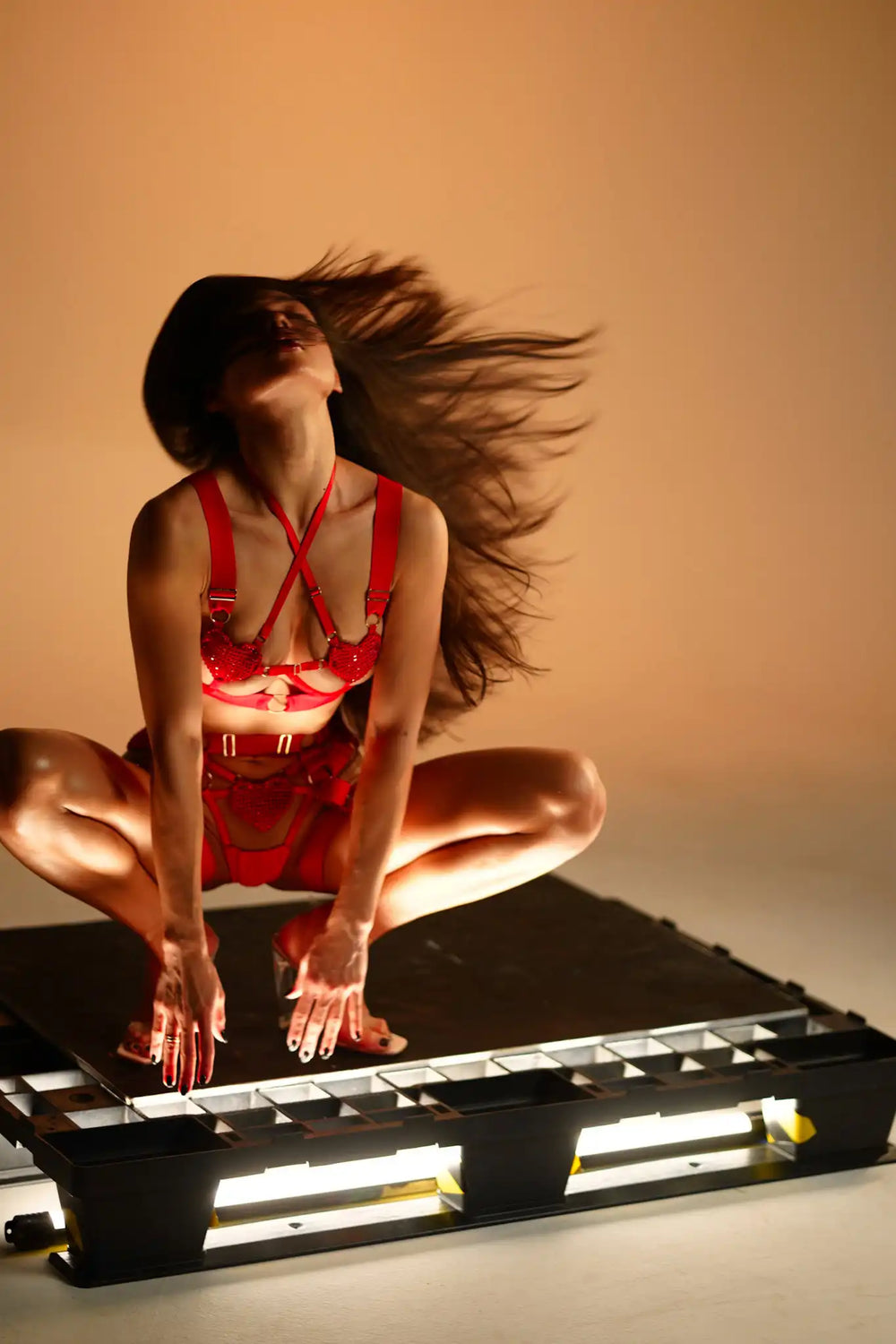 Scarlet Vice |Bondage Lingerie Set | Luke Parry Collective