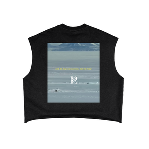 LP Motion,Penguin,Mouintains