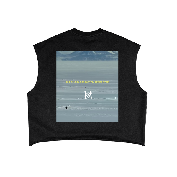 LP Motion,Penguin,Mouintains